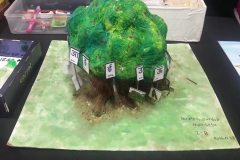 71459425_2961727823857400_4208625078822240256_n